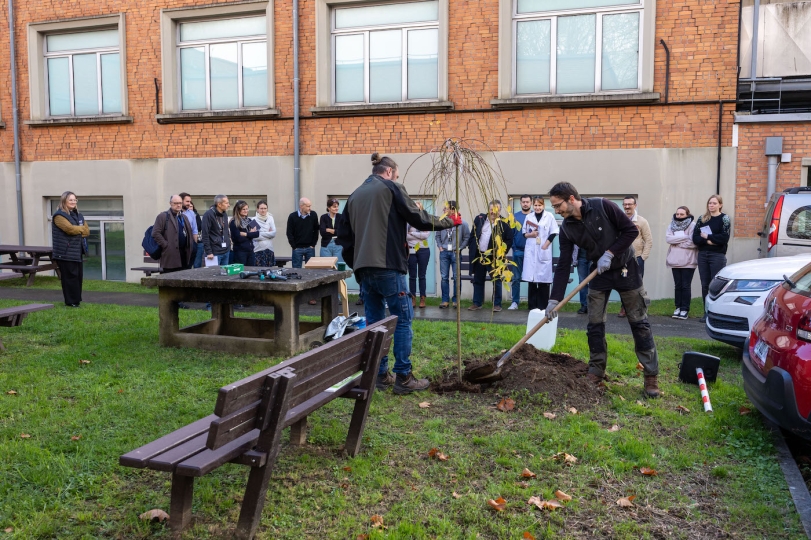 Pause café & Plantations arbres