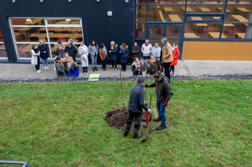 Pause café & Plantations arbres