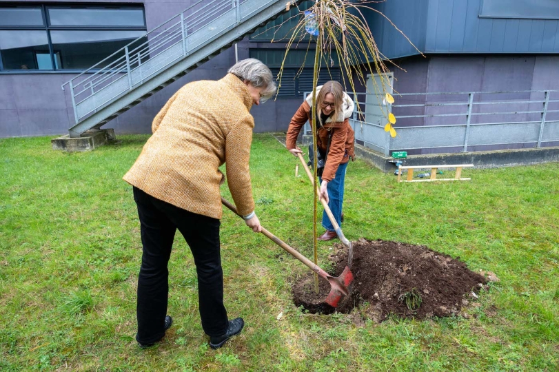 Pause café & Plantations arbres