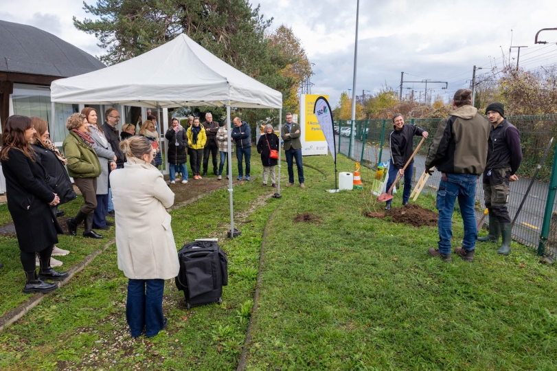 Pause café & Plantations arbres
