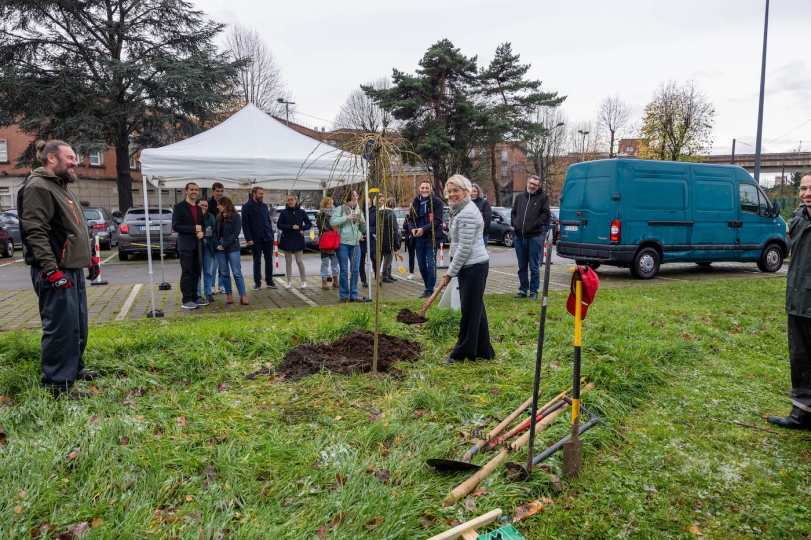 Pause café & Plantations arbres